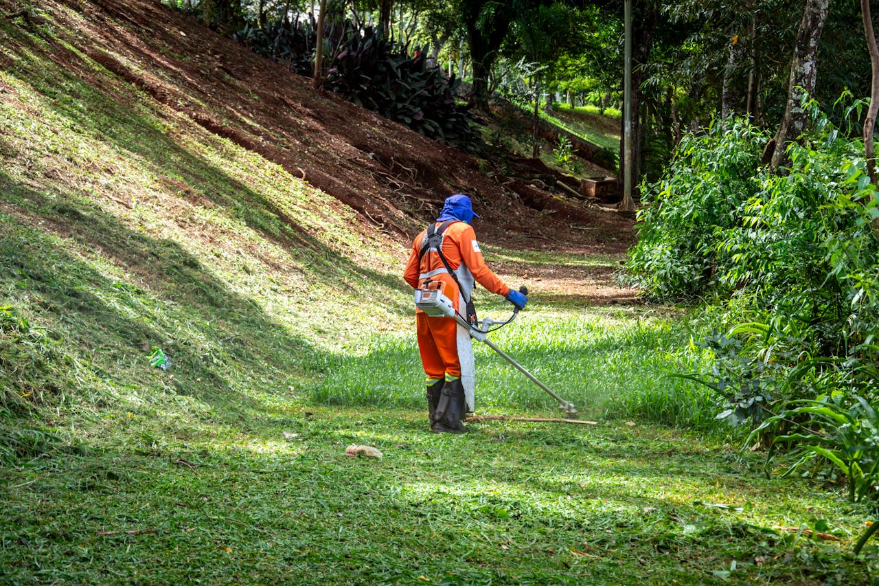 Lawn & Gardening